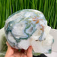 Moss Agate Druzy Hollow Jaw Skull Extra Large Healing Crystal Carving 2982g