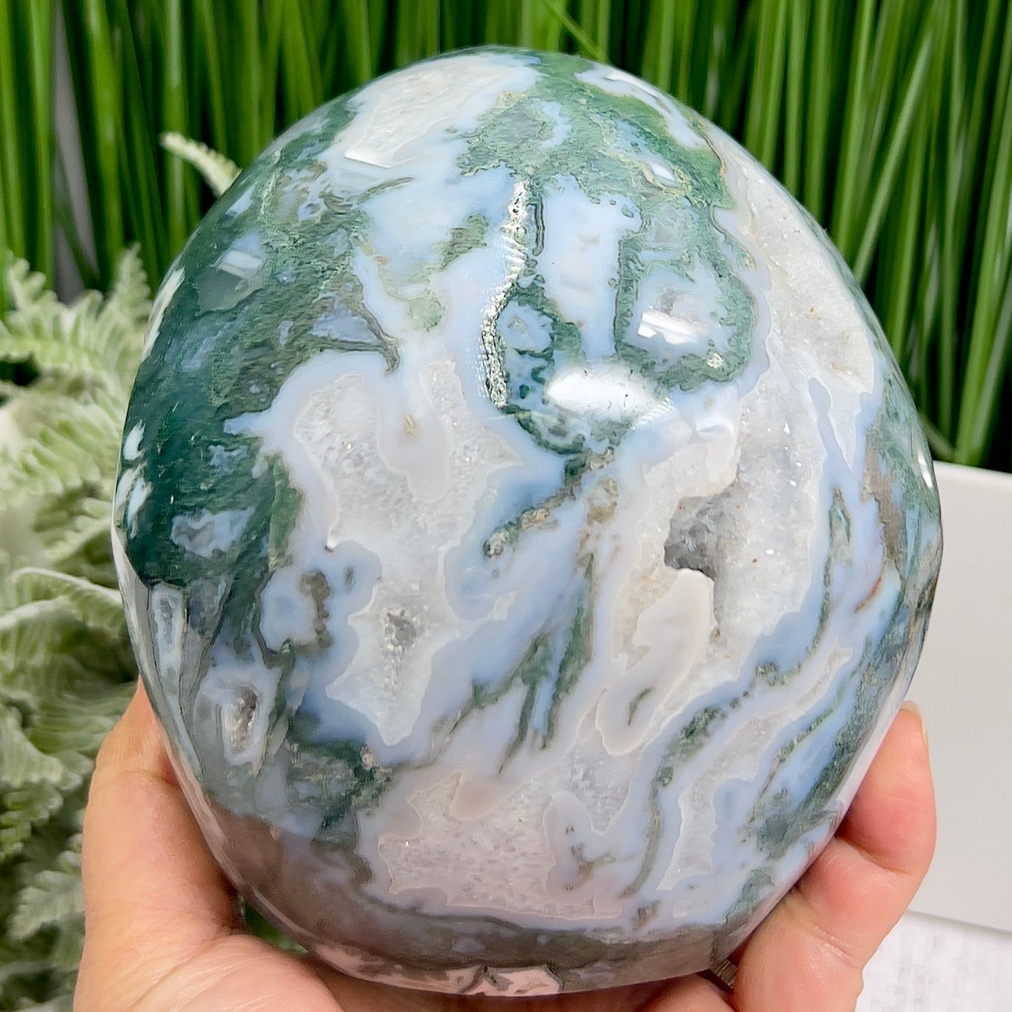 Moss Agate Druzy Hollow Jaw Skull Extra Large Healing Crystal Carving 2982g