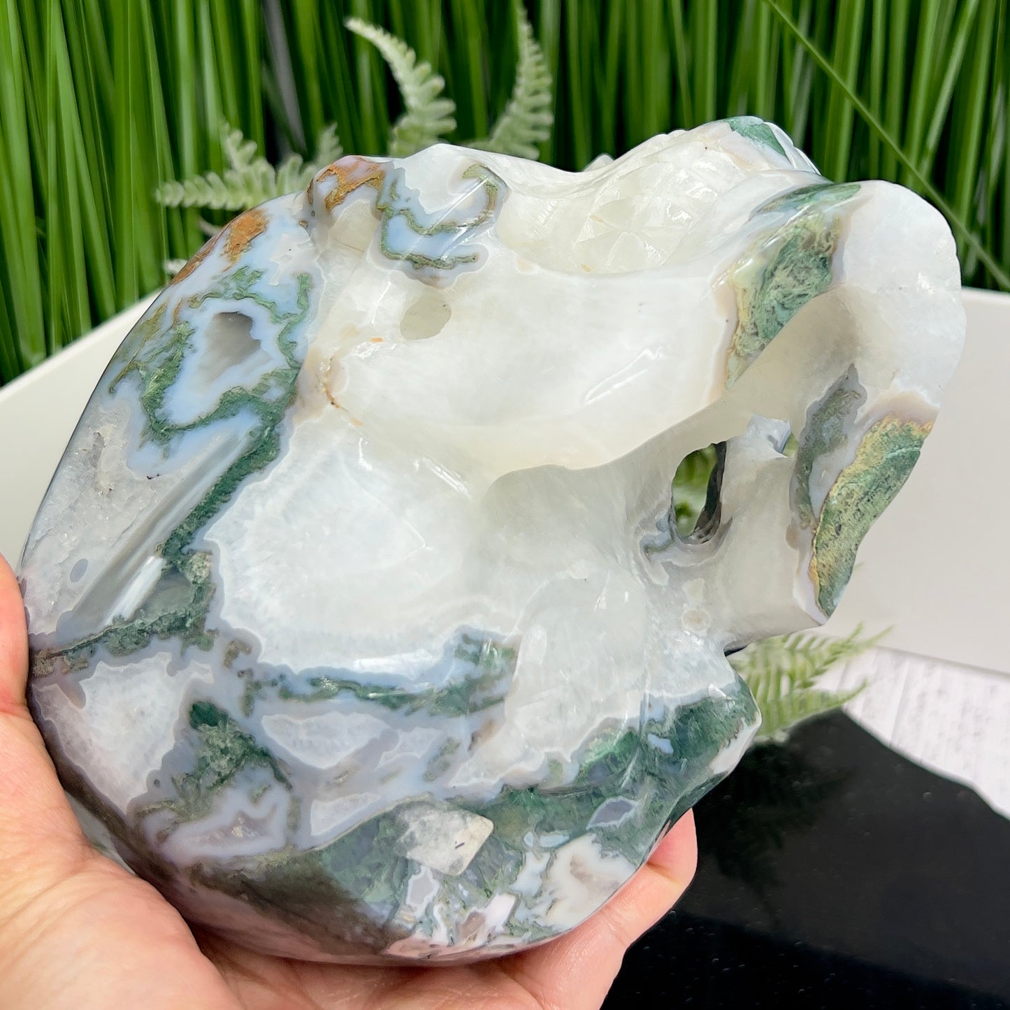 Moss Agate Druzy Hollow Jaw Skull Extra Large Healing Crystal Carving 2982g