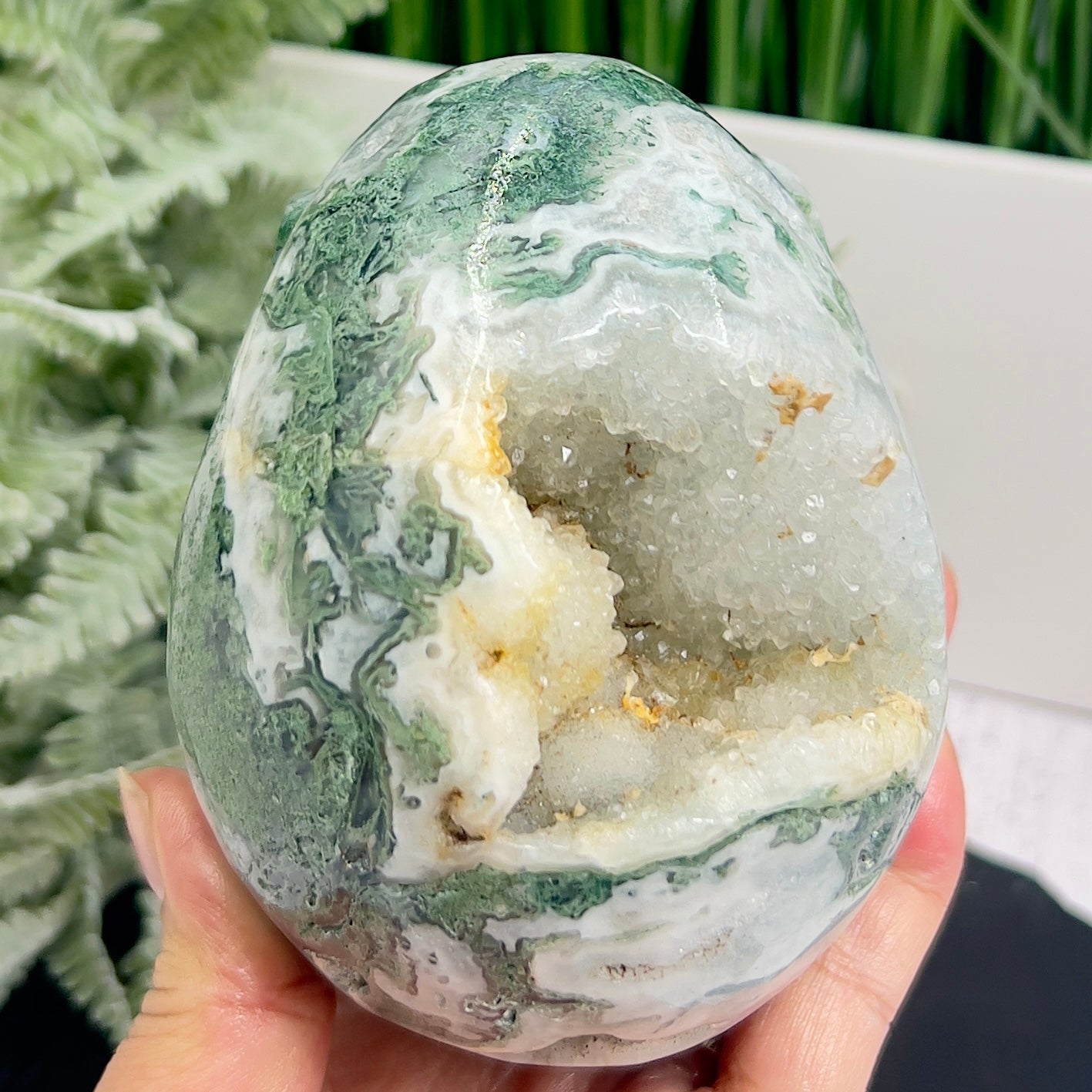 Moss Agate Druzy Skull Healing Crystal Carving 1218g