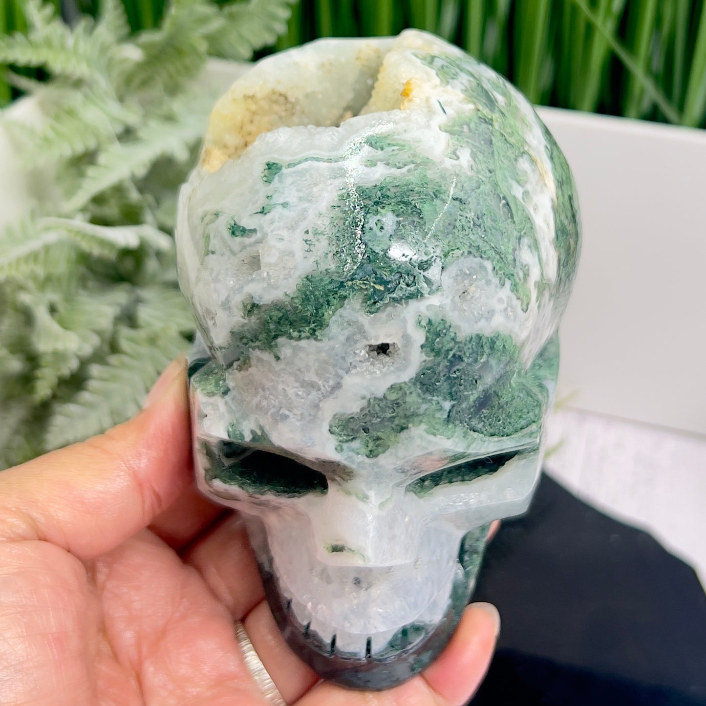 Moss Agate Druzy Skull Healing Crystal Carving 1218g