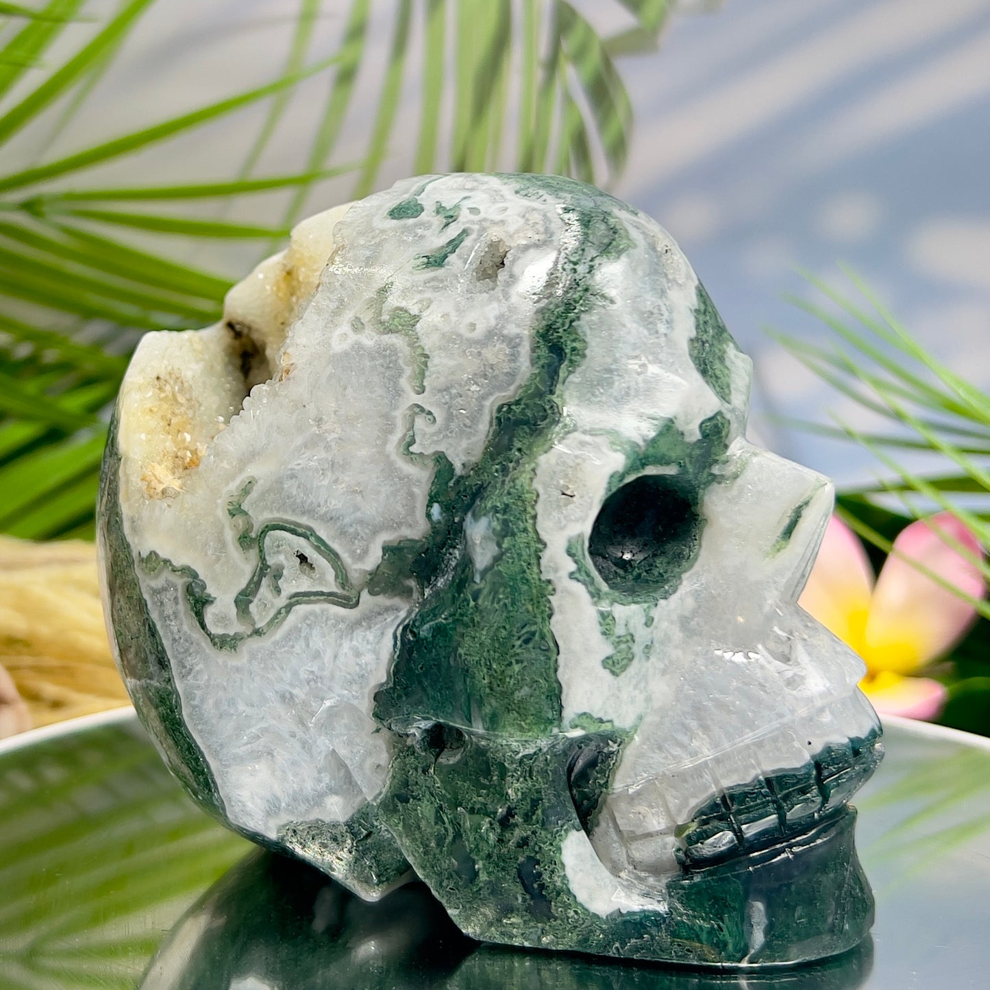 Moss Agate Druzy Skull Healing Crystal Carving 1218g