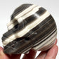 Zebra Phantom Calcite Skull Healing Crystal Carving 466g