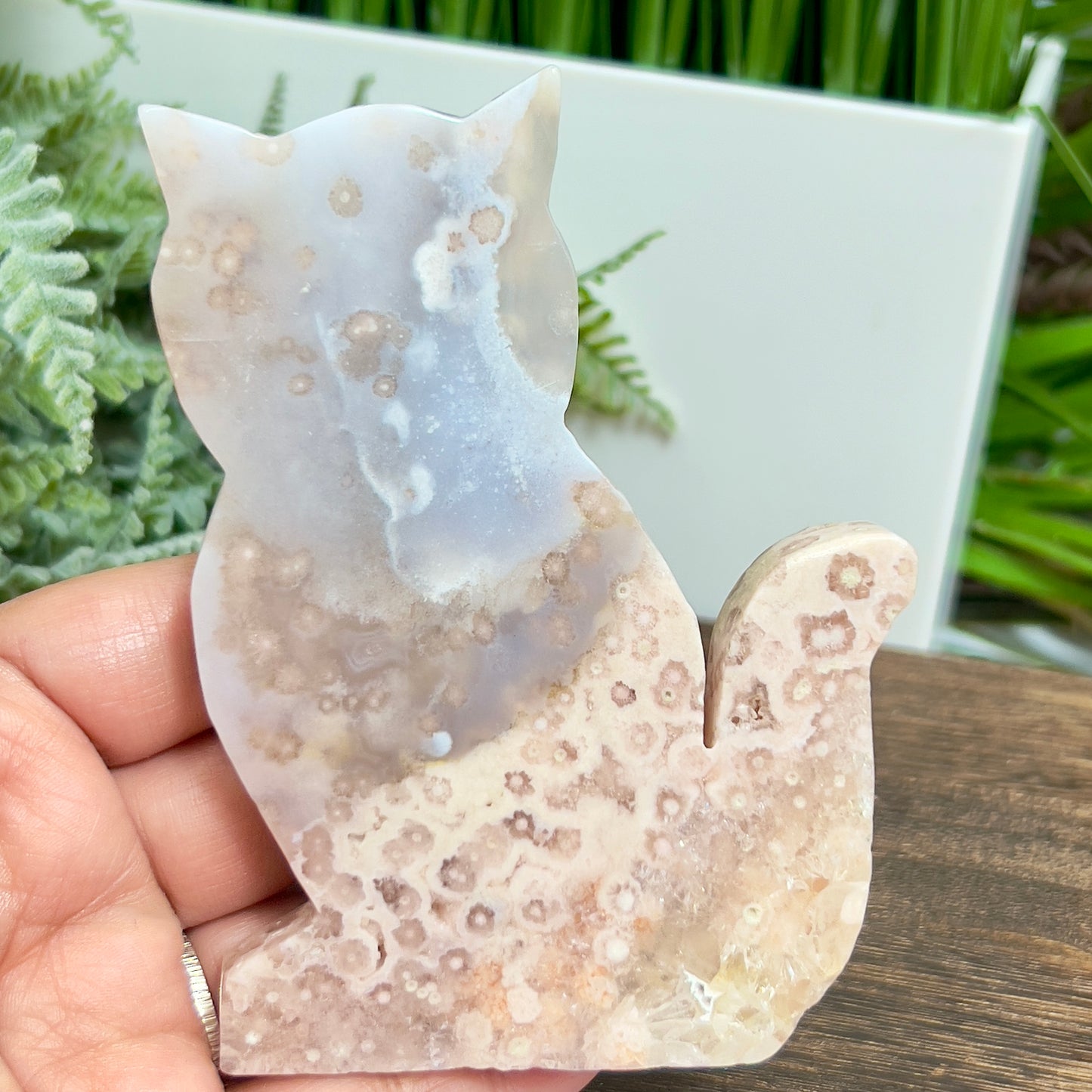 Flower Agate Kitty Cat Healing Crystal Animal Carving 182g