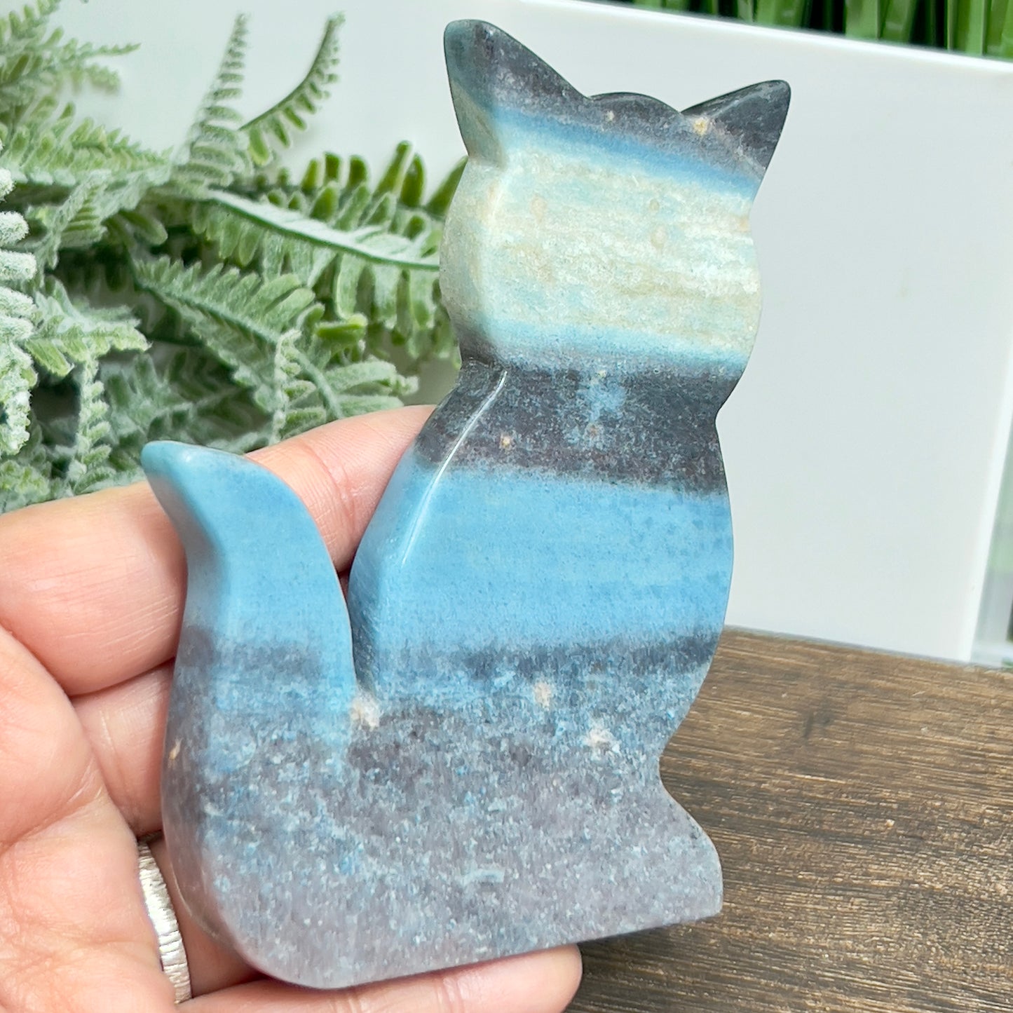 Trolleite Kitty Cat Rare Healing Crystal Animal Carving 168g