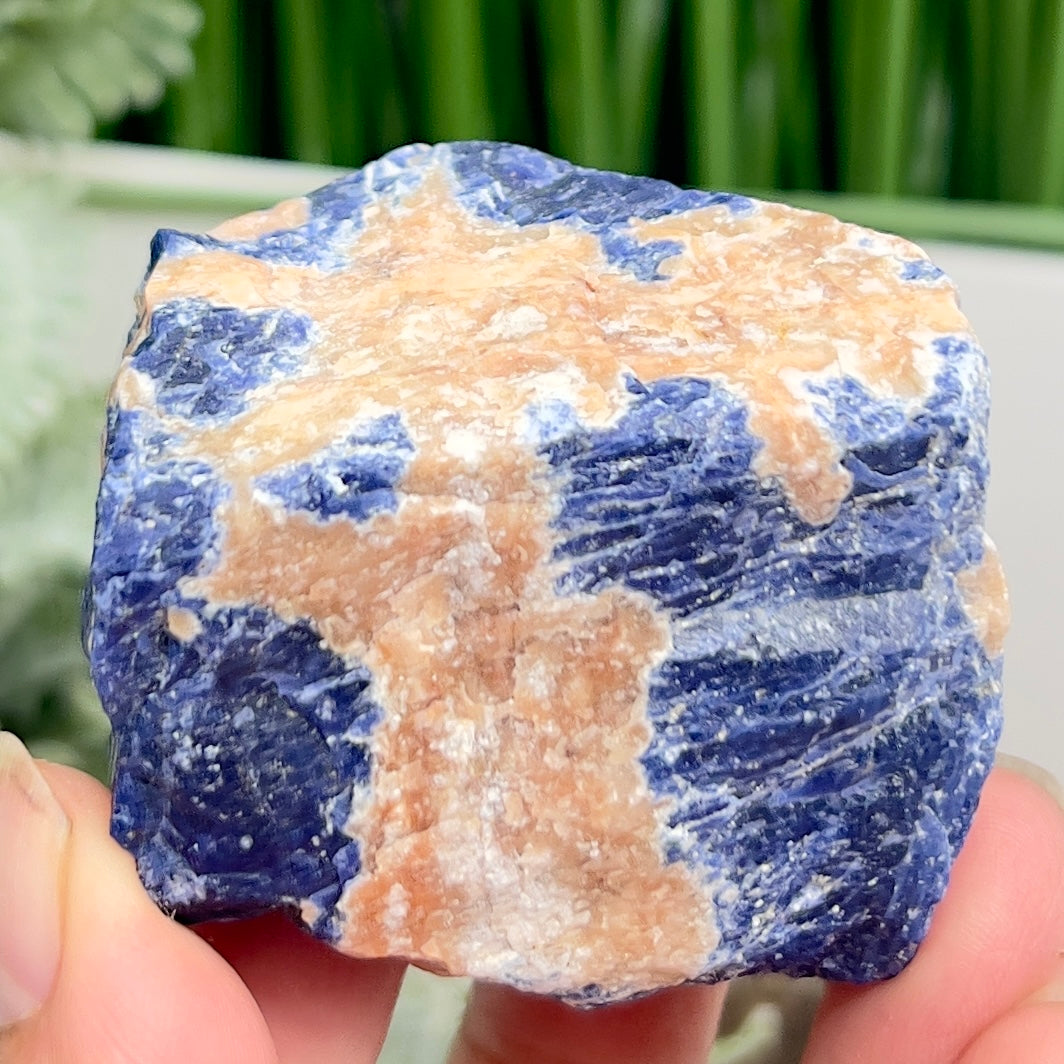 Sodalite with Sunstone Raw Specimen Natural Crystal 154g