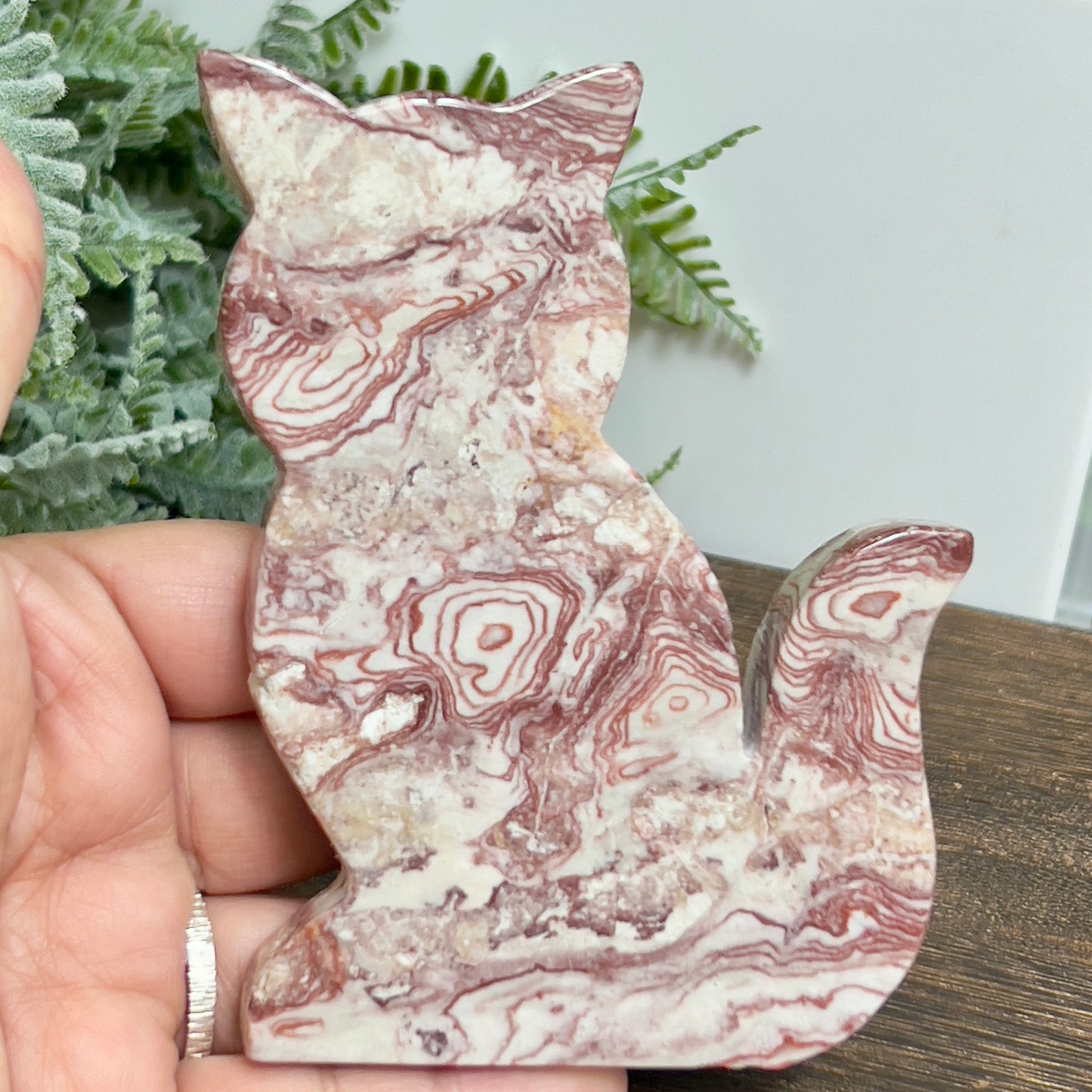 Red Onyx Cat Healing Crystal Animal Carving 178g