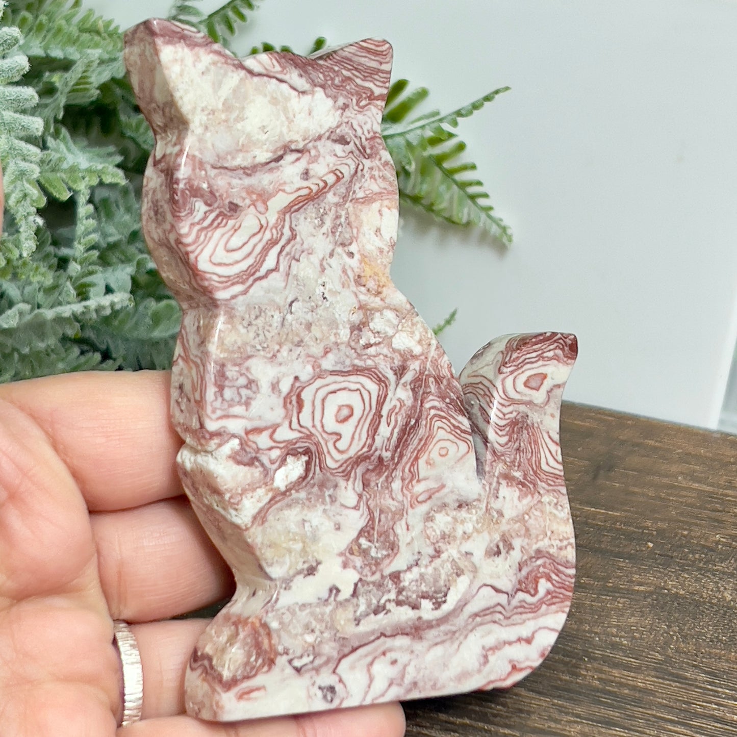 Red Onyx Cat Healing Crystal Animal Carving 178g