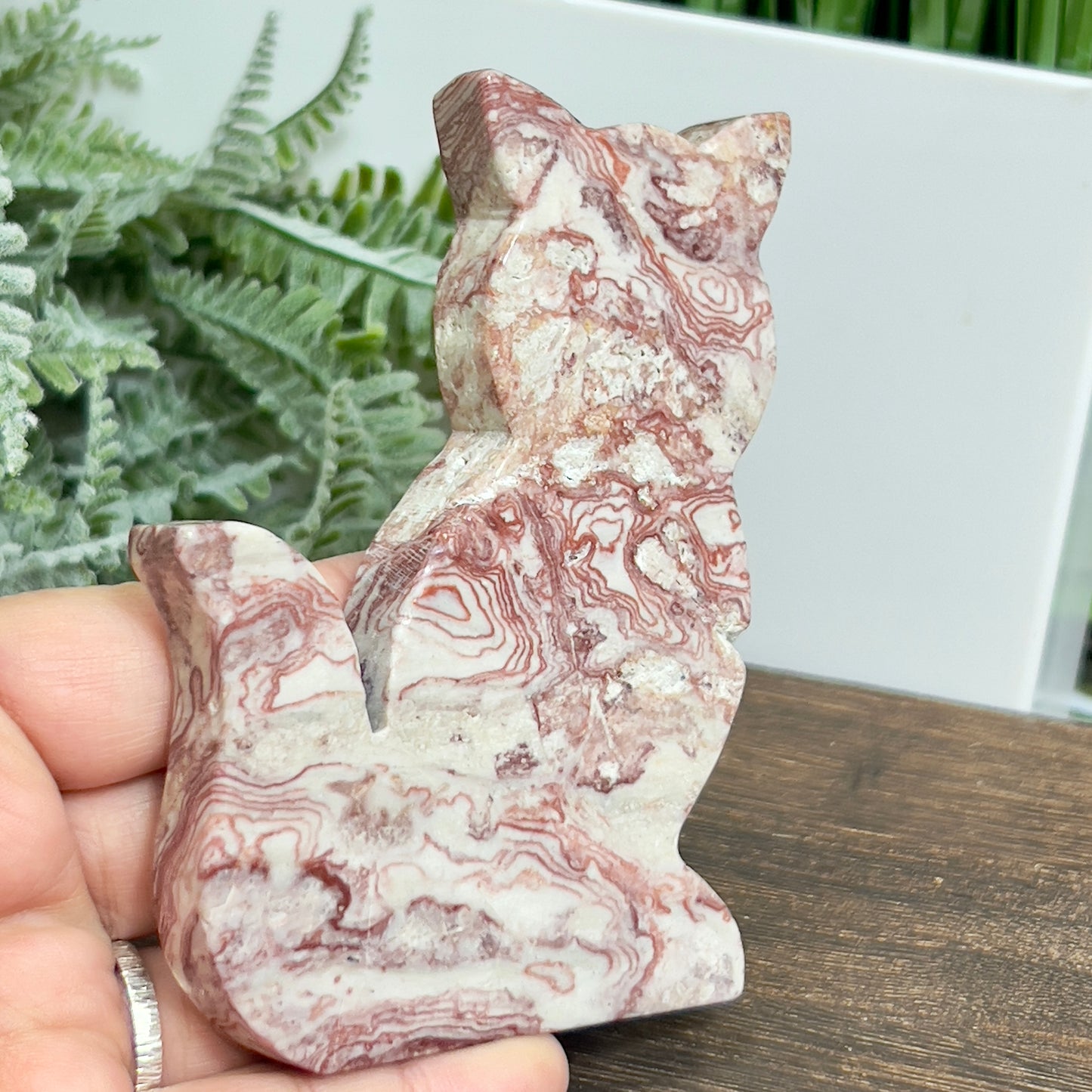 Red Onyx Cat Healing Crystal Animal Carving 178g