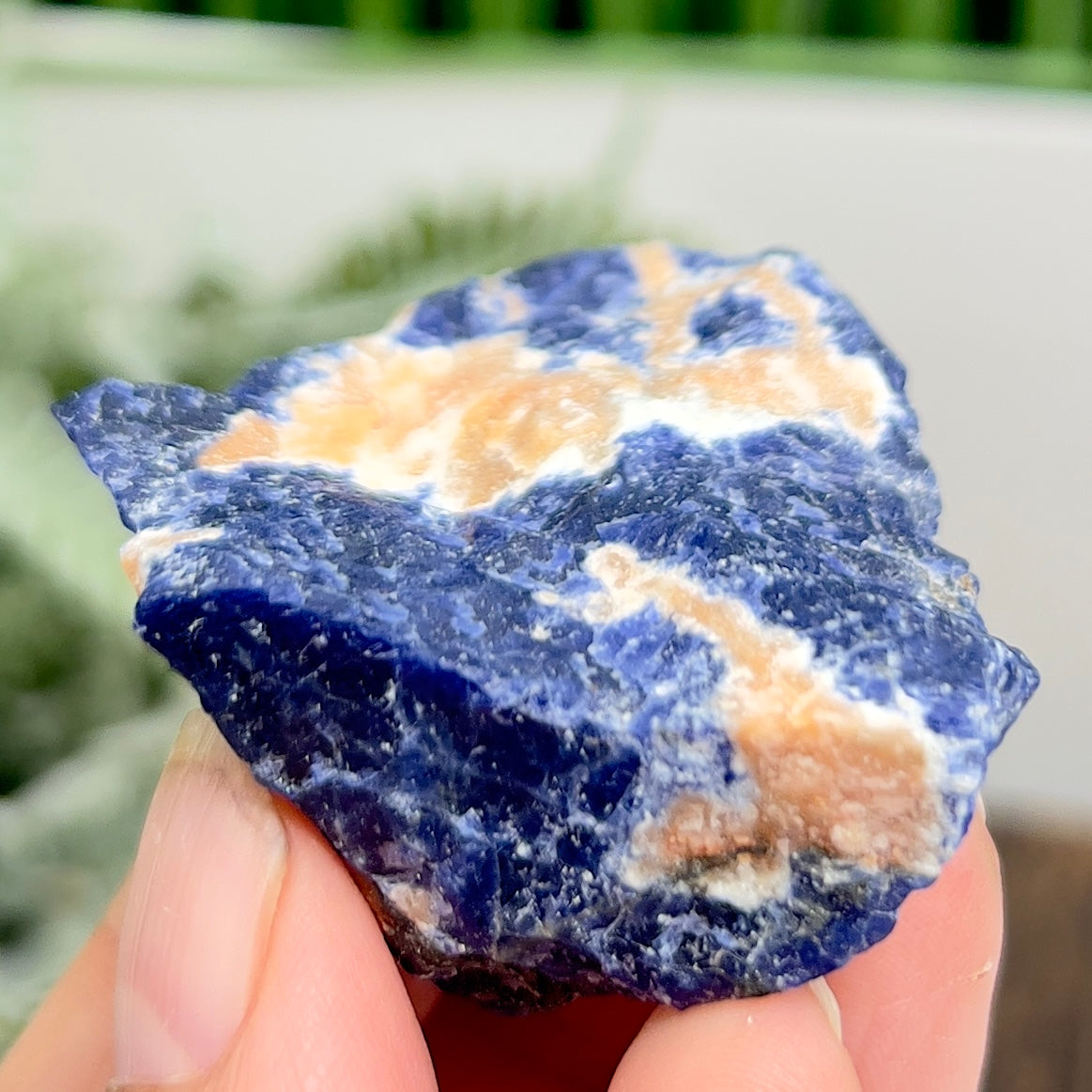 Sodalite with Sunstone Raw Specimen Natural Crystal 44g