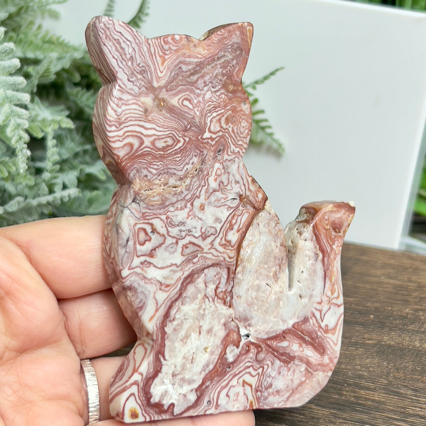 Red Onyx Cat Healing Crystal Animal Carving 158g