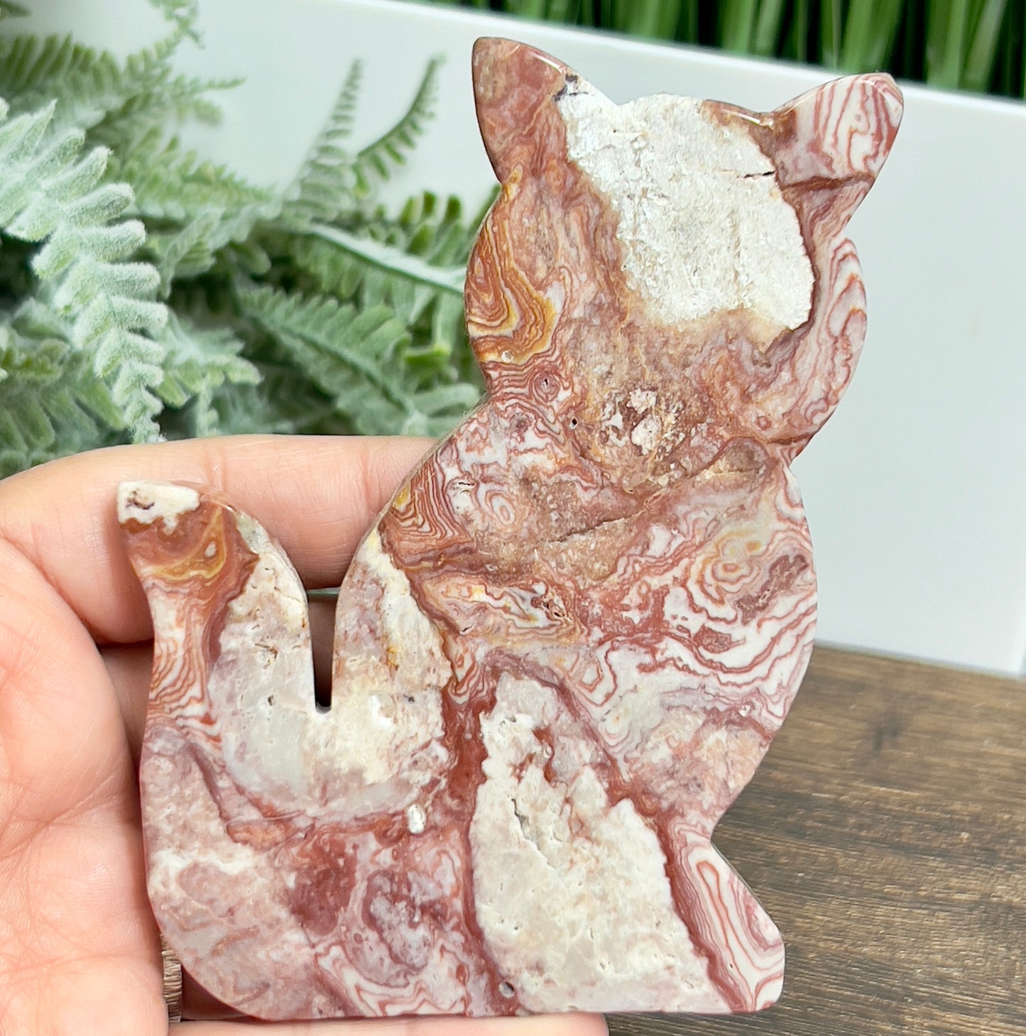 Red Onyx Cat Healing Crystal Animal Carving 158g