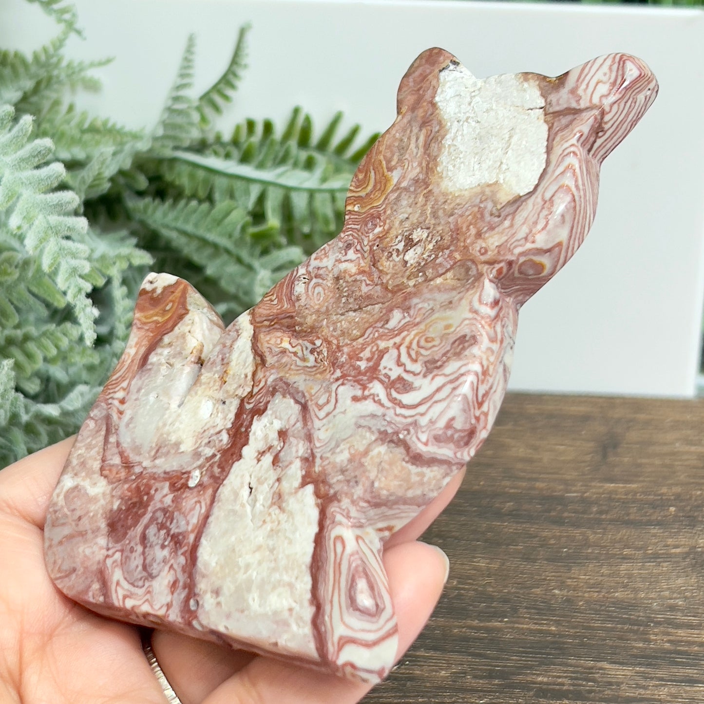 Red Onyx Cat Healing Crystal Animal Carving 158g