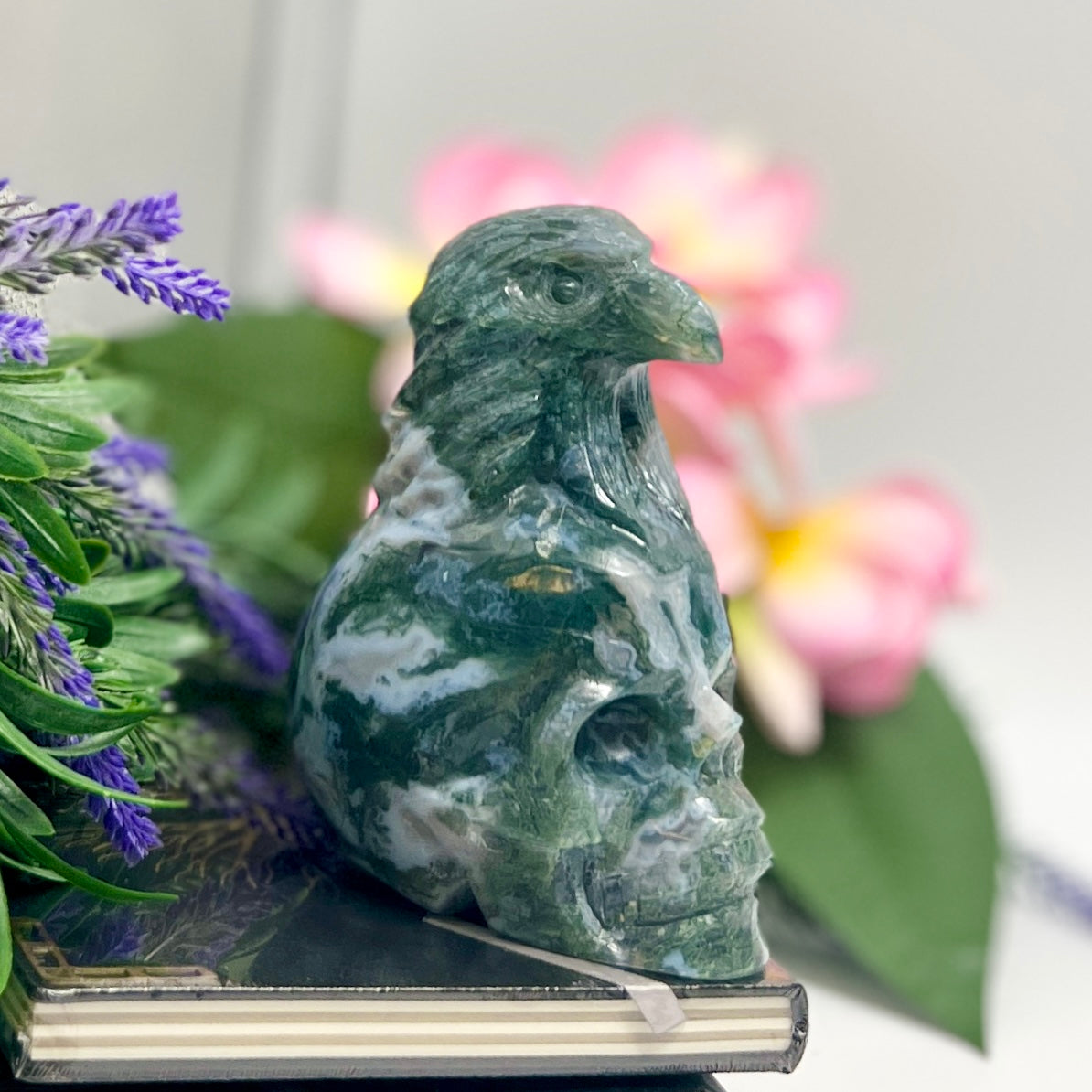 Moss Agate Eagle Bird on Skull Healing Crystal Carving 1092g