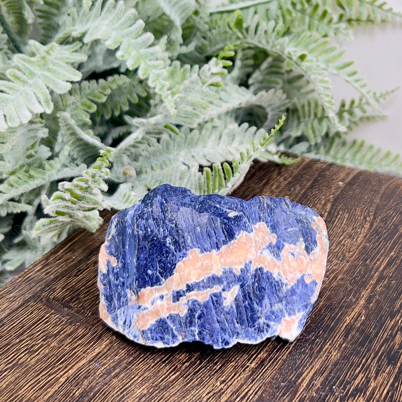 Sodalite with Sunstone Raw Specimen Natural Crystal 122g