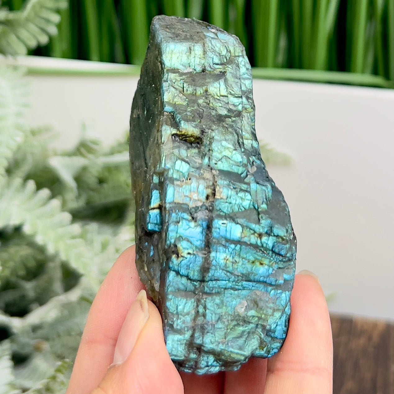 Labradorite Natural Raw Specimen Healing Crystal 126g