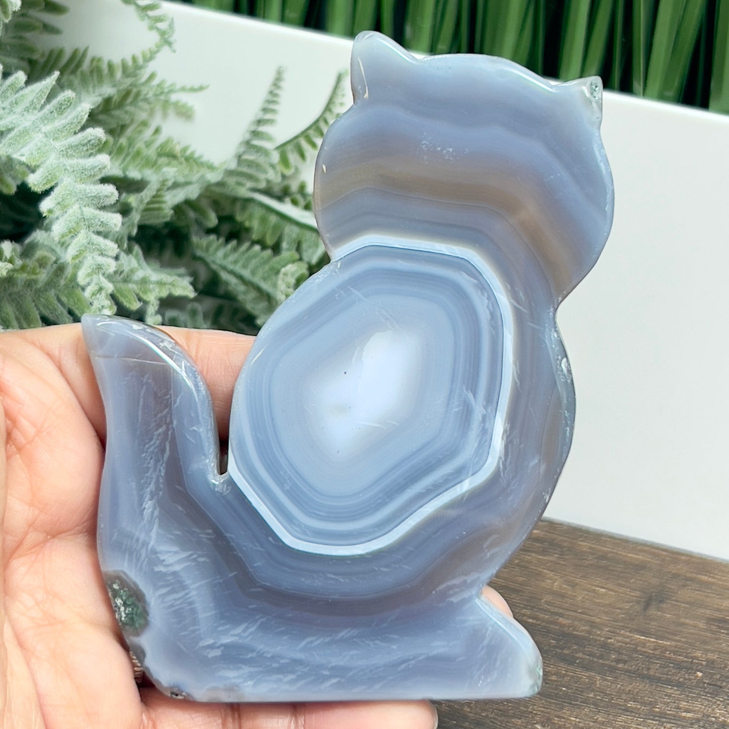 Agate Cat Healing Crystal Animal Carving 152g