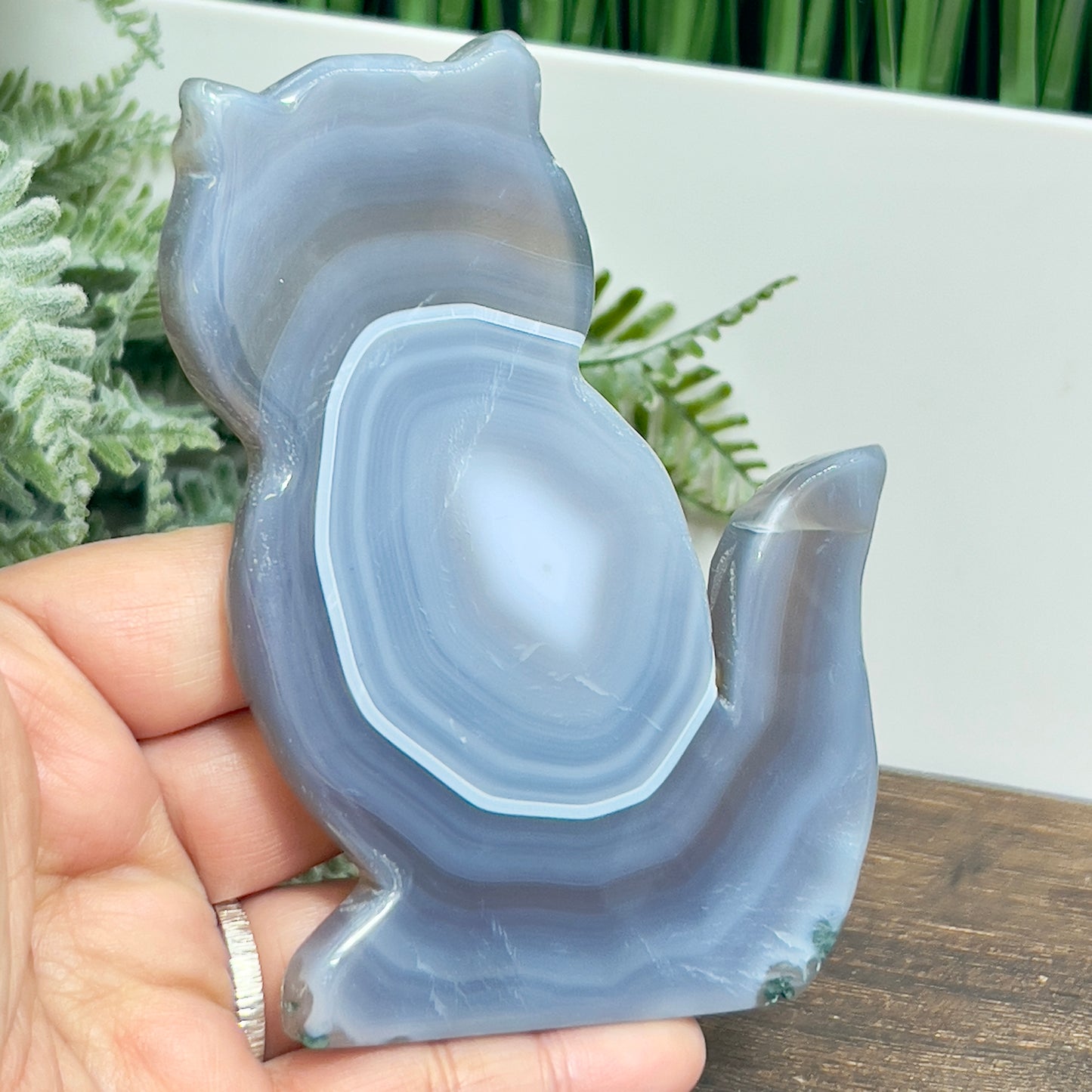 Agate Cat Healing Crystal Animal Carving 152g