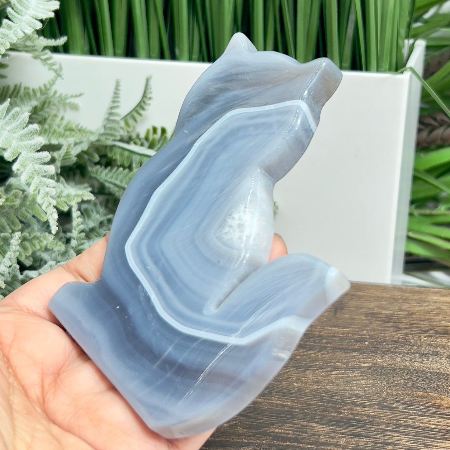 Agate Cat Healing Crystal Animal Carving 184g