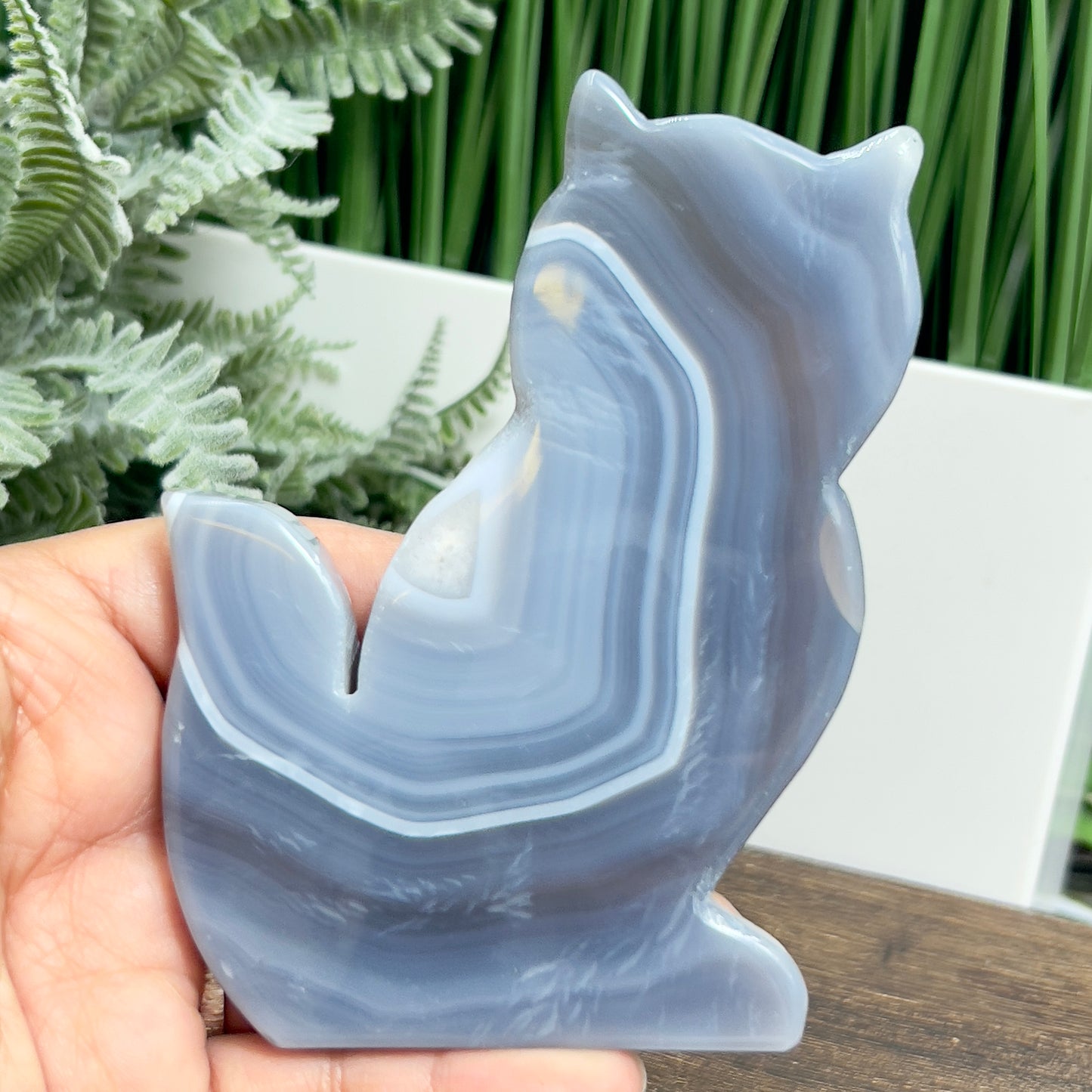 Agate Cat Healing Crystal Animal Carving 184g