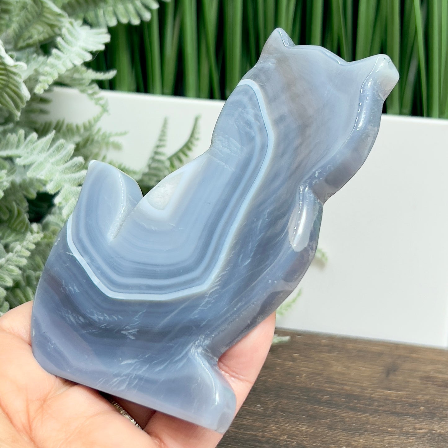 Agate Cat Healing Crystal Animal Carving 184g