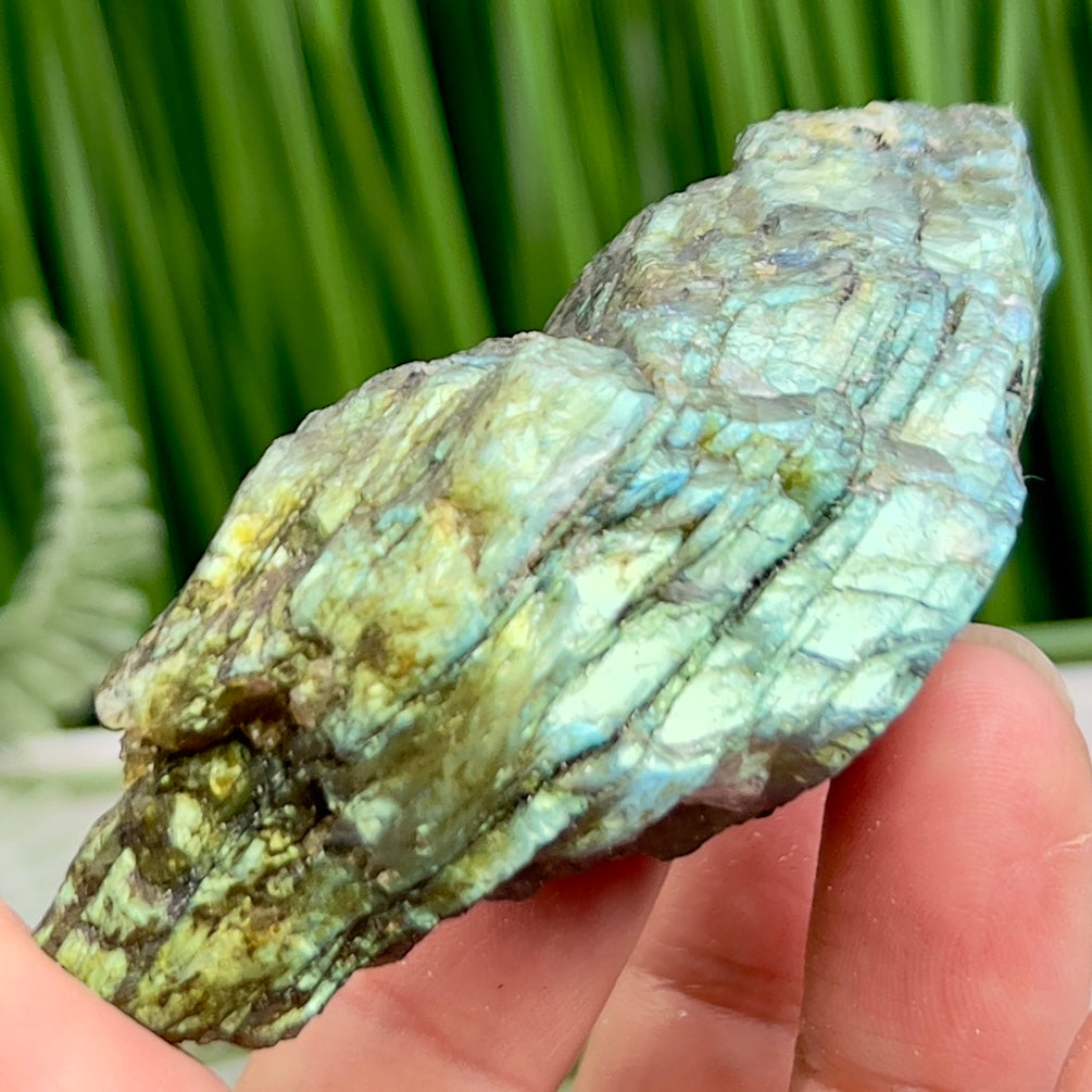 Labradorite Natural Raw Specimen Healing Crystal 100g