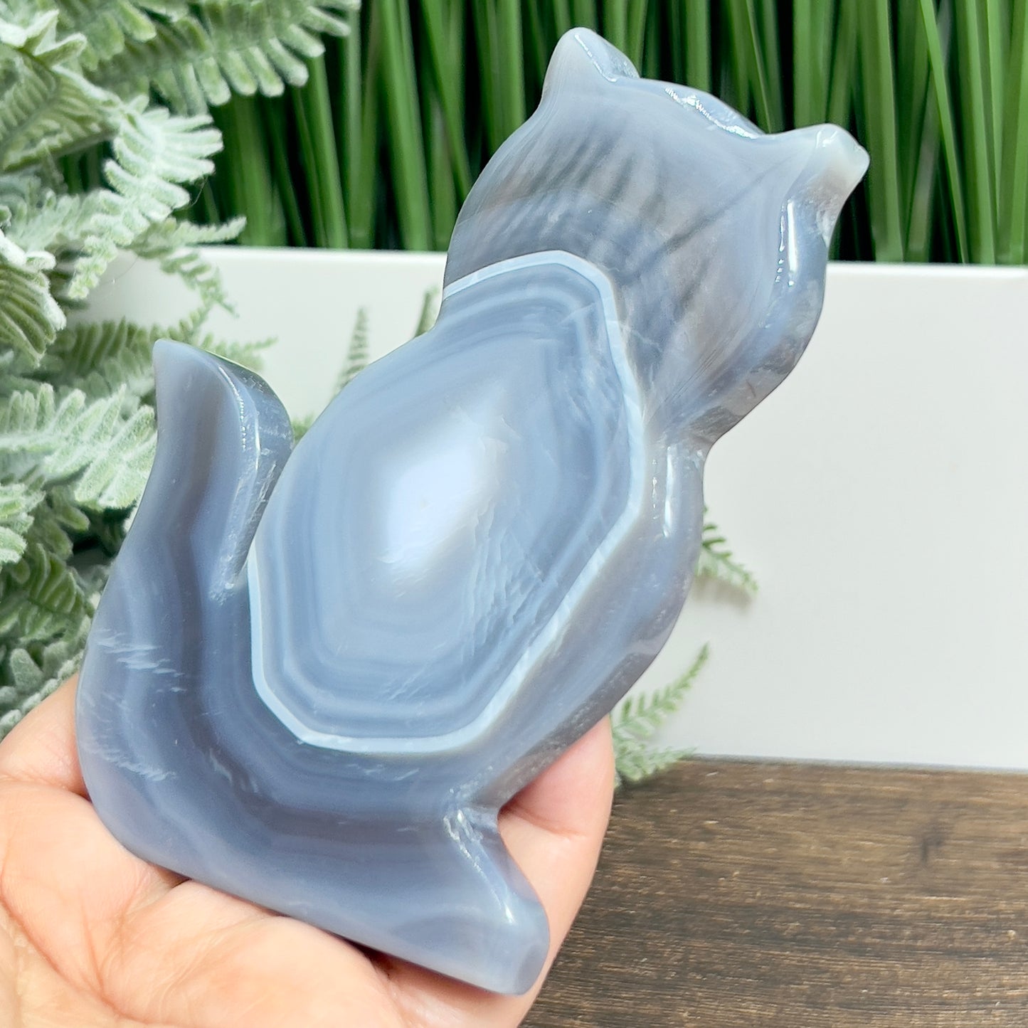 Agate Cat Healing Crystal Animal Carving 165g