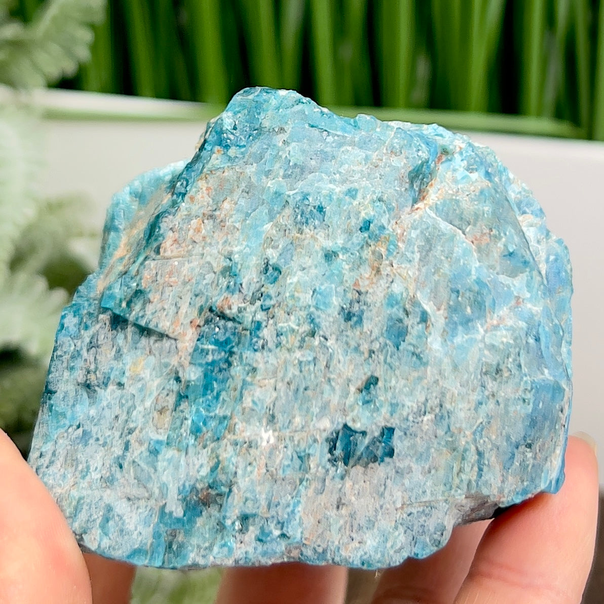 Blue Apatite Natural Raw Specimen Healing Crystal 452g