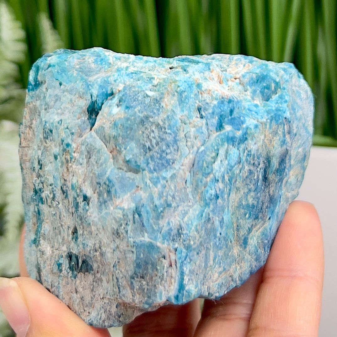 Blue Apatite Natural Raw Specimen Healing Crystal 452g