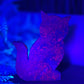 Ruby in Kyanite Zoisite Kitty Cat UV Reactive Crystal Animal Carving 206g