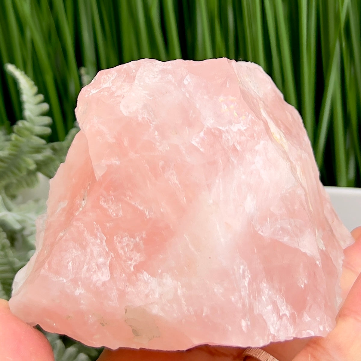 Rose Quartz High Quality Natural Raw Specimen Crystal 1062g