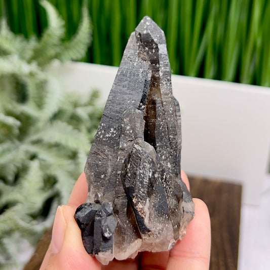 Smoky Quartz Cluster Natural Raw Specimen Crystal 110g