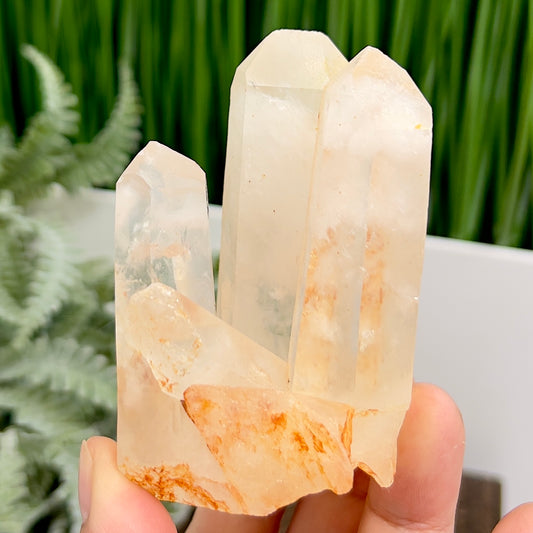 Clear Quartz Cluster Natural Raw Specimen Crystal 220g