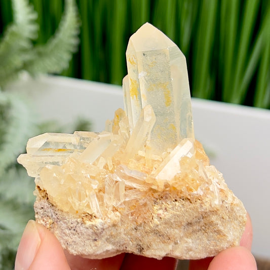 Clear Quartz Cluster Natural Raw Specimen Crystal 80g