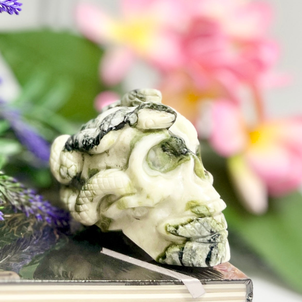 Jade Snakes on Skull Healing Crystal Carving 585g