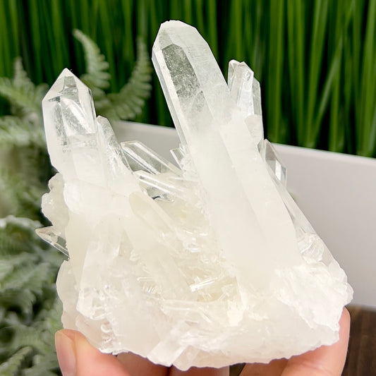 Clear Quartz Cluster Natural Raw Specimen Crystal 338g