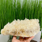 Citrine Rare Natural Cluster Crystal Specimen Untreated 2008g