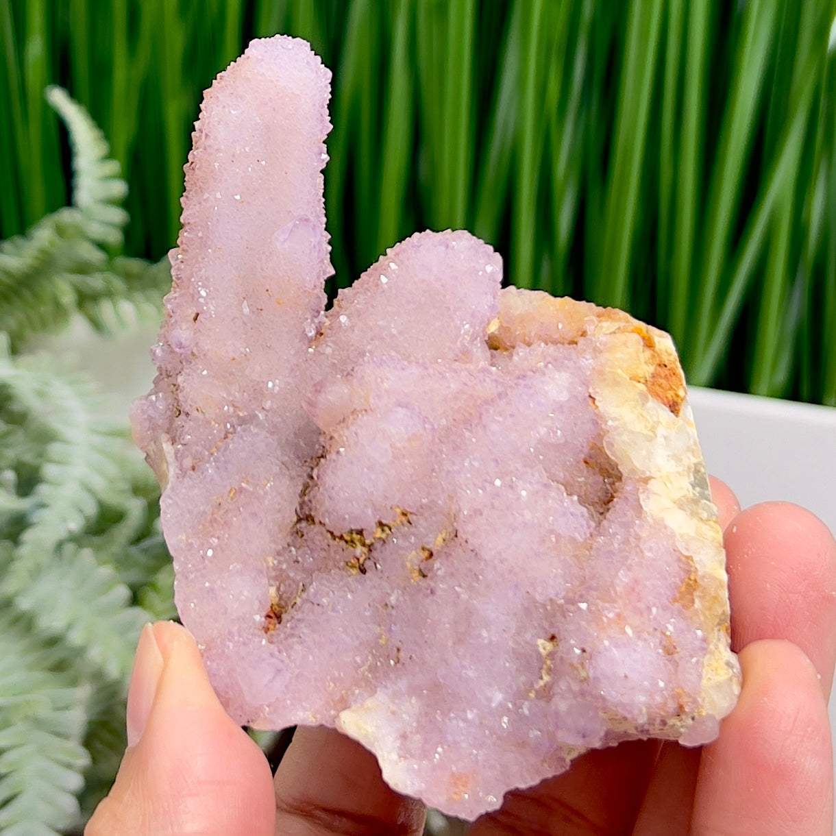 Amethyst Spirit Quartz Cluster Natural Crystal Specimen 184g