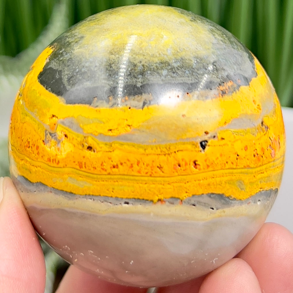 Bumblebee Jasper Sphere Healing Crystal Ball 238g 56mm