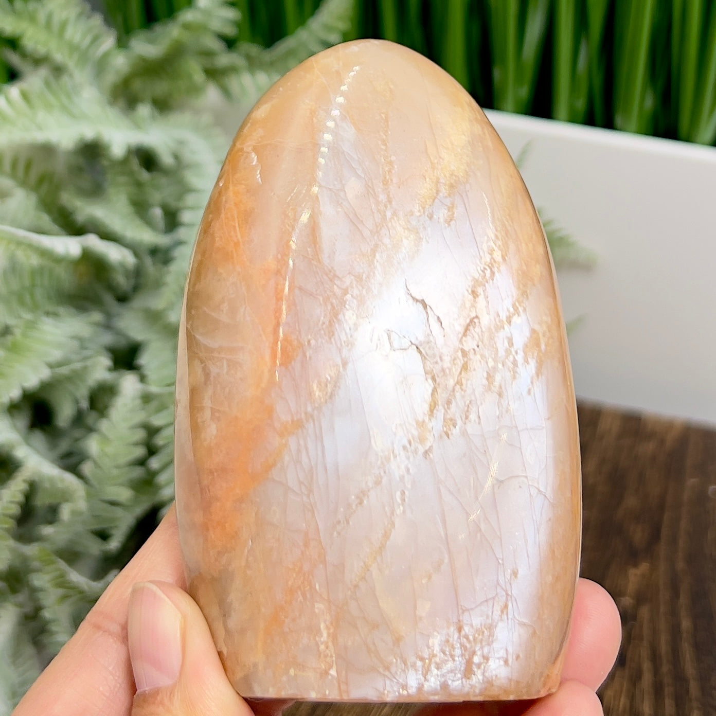 Moonstone Peach Free Form Healing Crystal Carving 322g