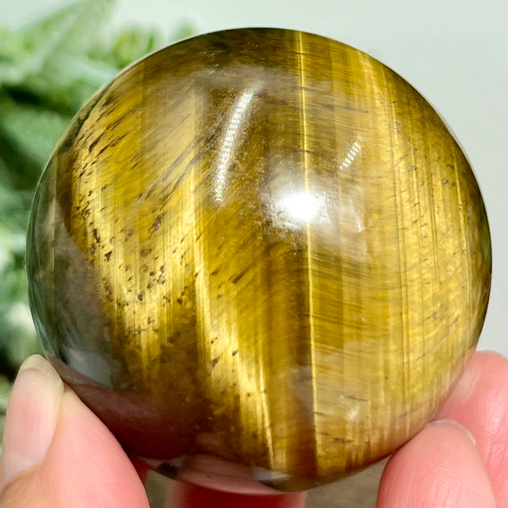 Tigers Eye with Hematite Sphere Gemstone Healing Crystal Ball 228g 53mm