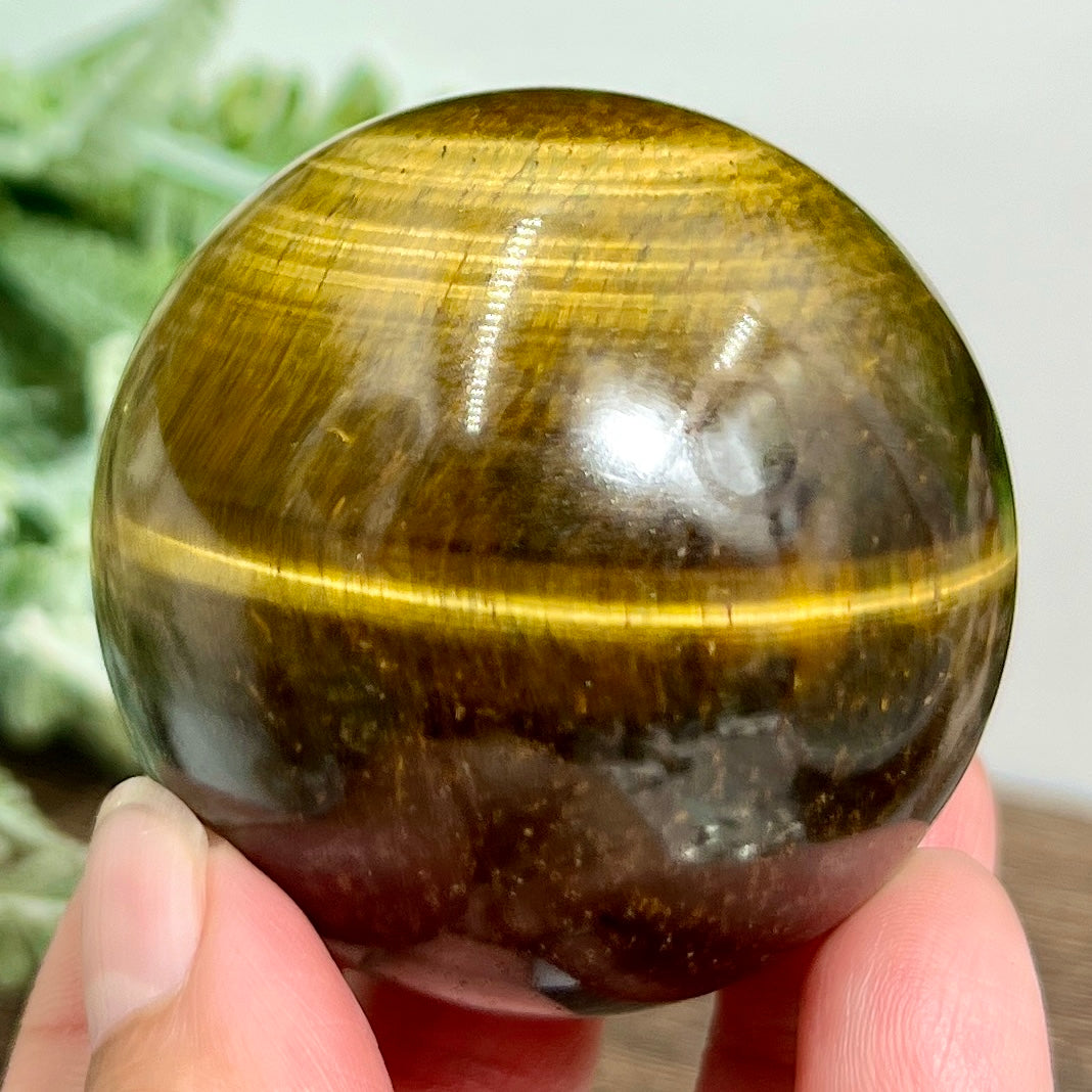 Tigers Eye with Hematite Sphere Gemstone Healing Crystal Ball 228g 53mm