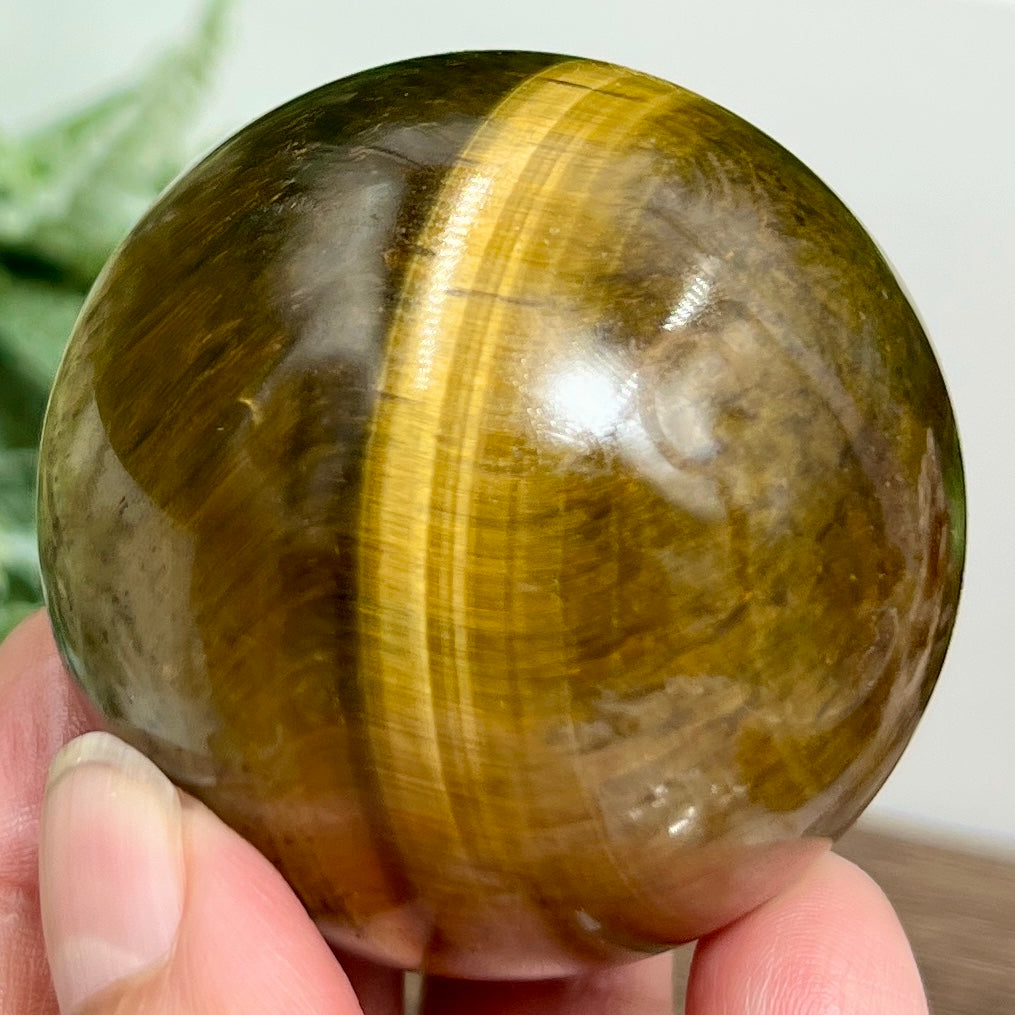 Tigers Eye with Hematite Sphere Gemstone Healing Crystal Ball 228g 53mm