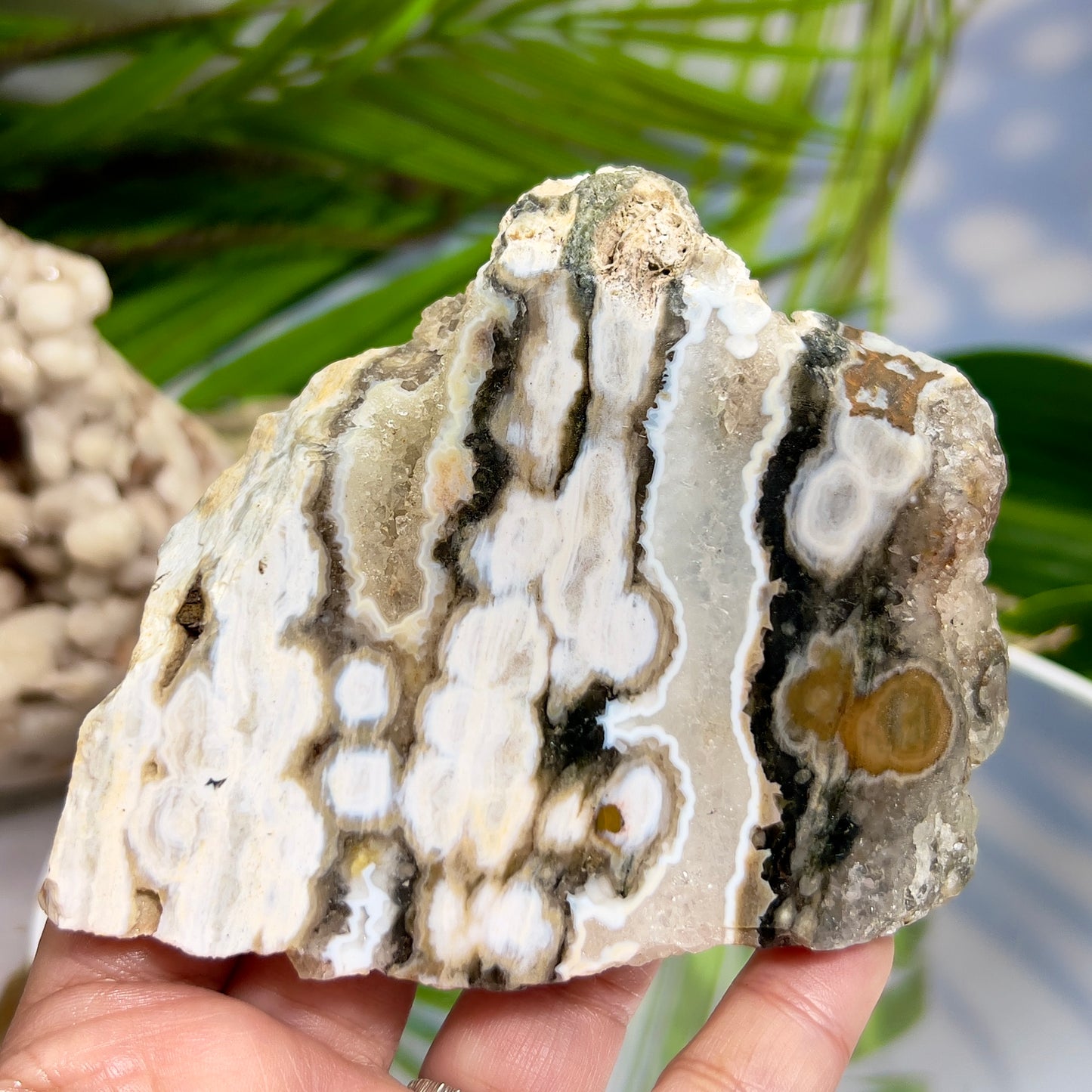 Bubble Ocean Orbicular Sea Jasper Raw Slice with Stand Natural Crystal Specimen 286g