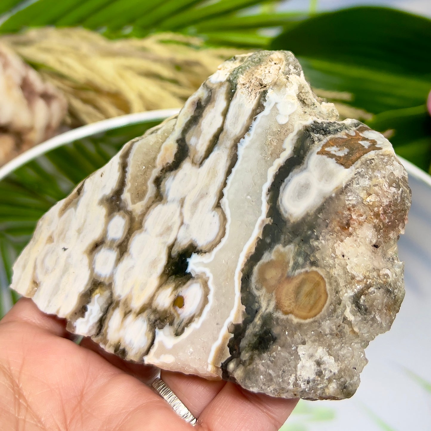 Bubble Ocean Orbicular Sea Jasper Raw Slice with Stand Natural Crystal Specimen 286g