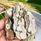 Bubble Ocean Orbicular Sea Jasper Raw Slice with Stand Natural Crystal Specimen 286g