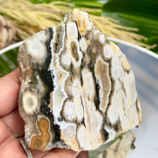 Bubble Ocean Orbicular Sea Jasper Raw Slice with Stand Natural Crystal Specimen 286g