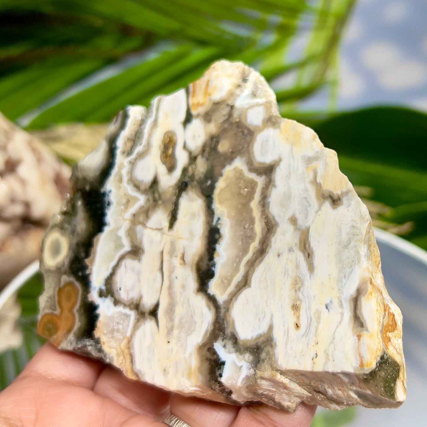 Bubble Ocean Orbicular Sea Jasper Raw Slice with Stand Natural Crystal Specimen 286g