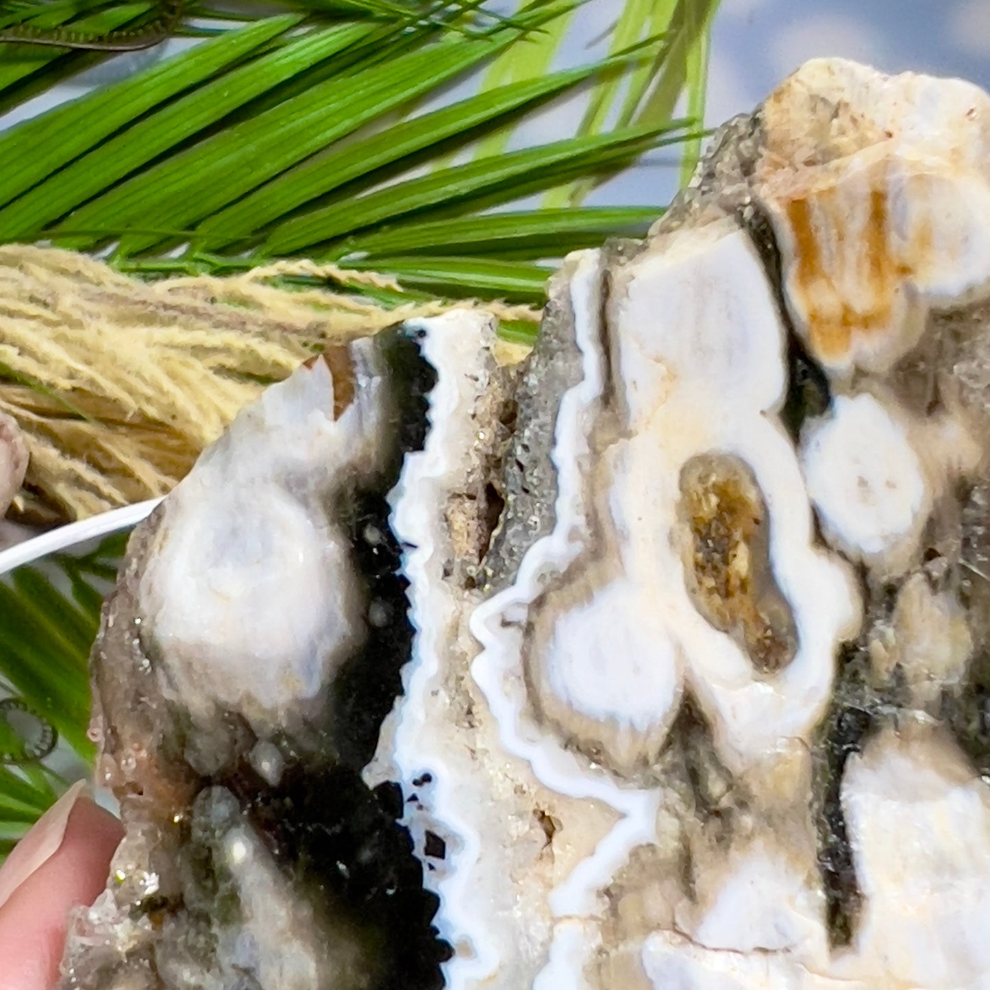 Bubble Ocean Orbicular Sea Jasper Raw Slice with Stand Natural Crystal Specimen 286g