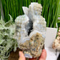 Moss Agate Buddha Druzy Crystal 1320g